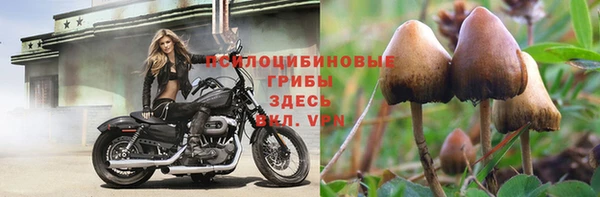 герыч Алексеевка