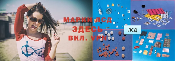 гашик Алексин