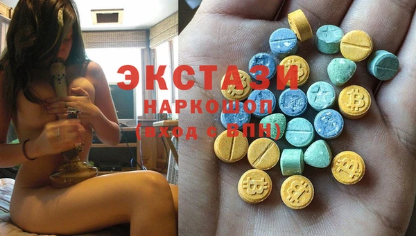 гашик Алексин