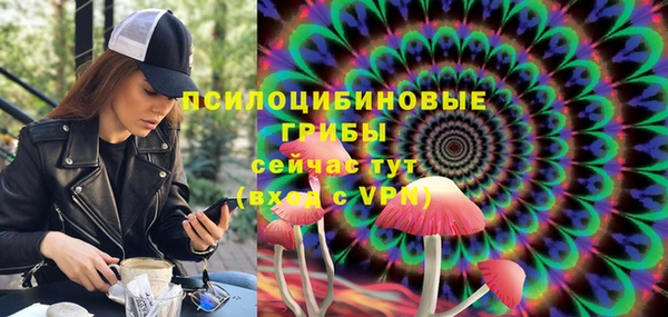 гашик Алексин