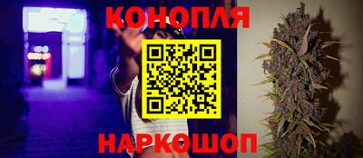 стаф Анапа