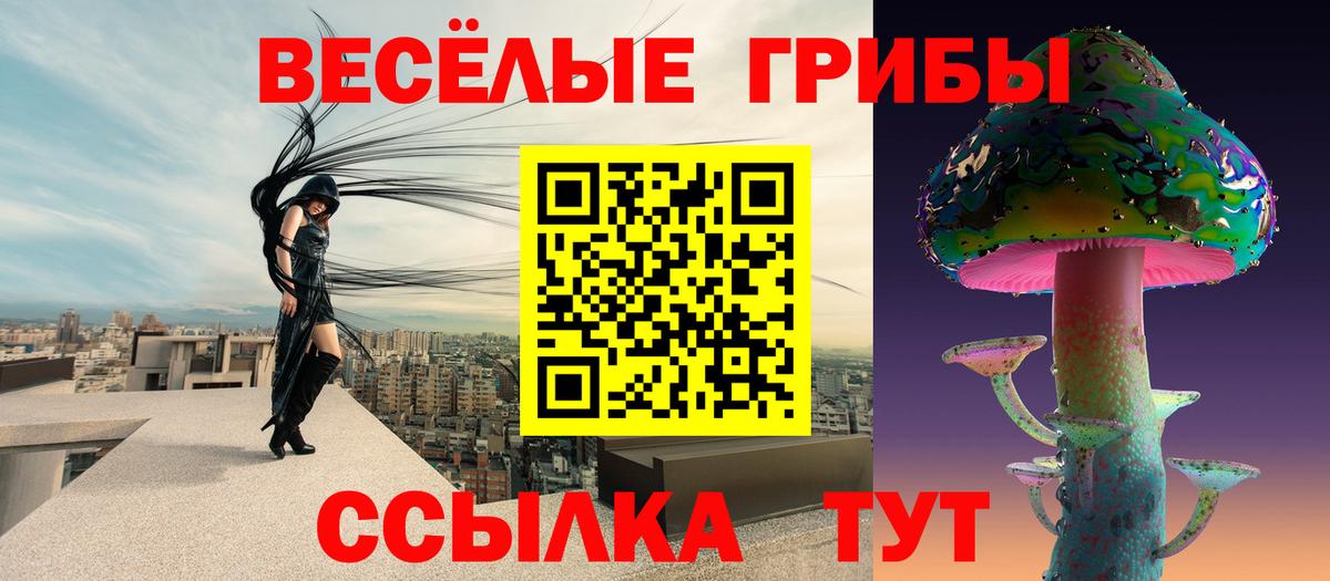 Тейково  Псилоцибиновые грибы прущие грибы  Галлюциногенные грибы Psilocybine cubensis  Вход с VPN 