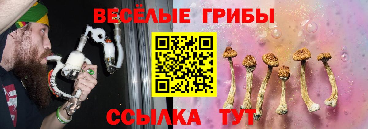 Галлюциногенные грибы Magic Shrooms Тейково