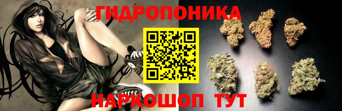 Бошки марихуана индика  Вход с VPN  МАРИХУАНА Ganja  Марихуана семена  Тейково 